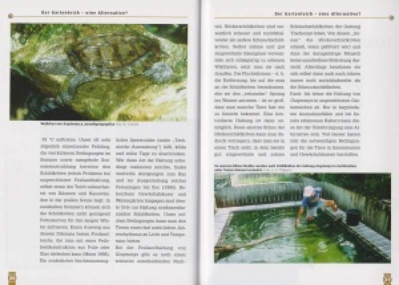 Preview: Falsche Landkarten-Höckerschildkröten und Mississippi-Höckerschildkröten